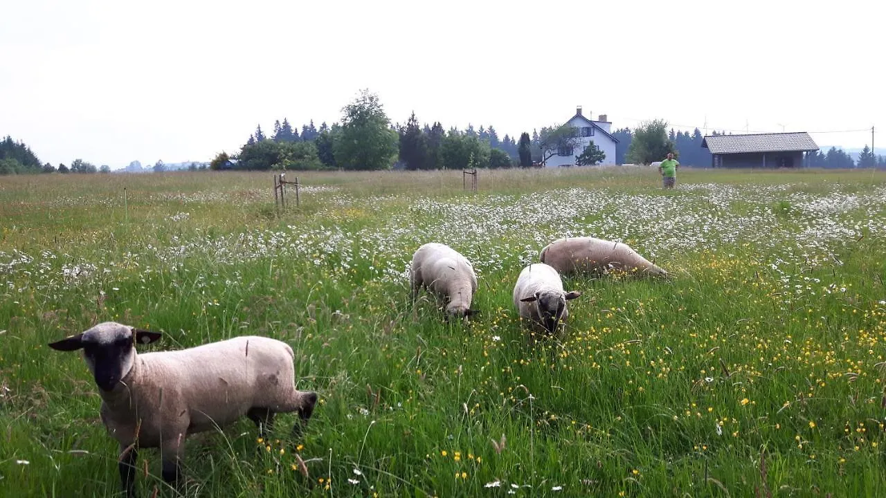 Ferienwohnung Biohof und Imkerei Schlössle Allgäu Untrasried